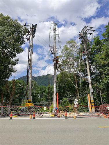 國網壽寧縣供電公司更換出線電纜 確保迎峰度夏供電穩(wěn)定