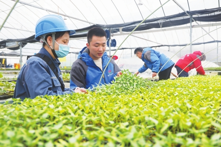 廣西靈山智能巡檢護航春灌