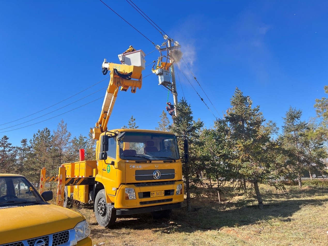 阿拉善供電公司配電帶電作業(yè)處：帶電消缺早行動(dòng) 拆除鳥巢線路安